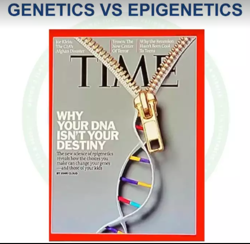 Myths about diet and health (3)