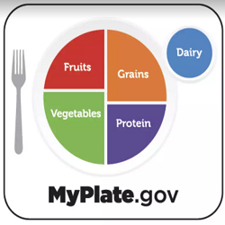 Protein myth